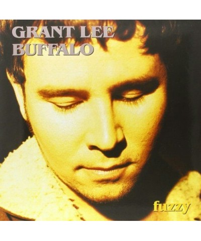 Grant Lee Buffalo Fuzzy Vinyl Record $8.37 Vinyl