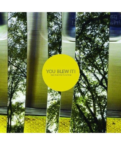 You Blew It! Keep Doing What You're Doing Vinyl Record $7.36 Vinyl