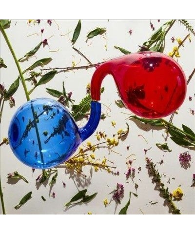 Dirty Projectors Lamp Lit Prose CD $5.65 CD