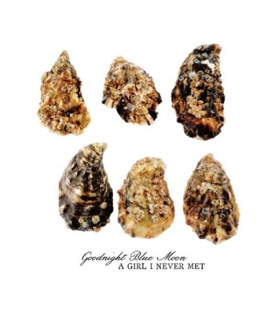 Goodnight Blue Moon GIRL I NEVER MET CD $3.79 CD